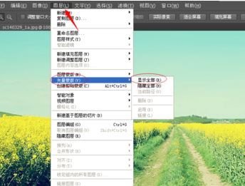 ps矢量蒙版怎么用?ps矢量蒙版詳細使用方法