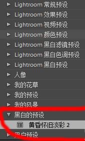 lr預設怎么導入?教你導入lr預設的詳細操作方法