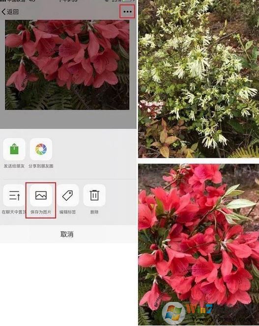 手機怎么截長圖?教你蘋果手機截長圖操作方法