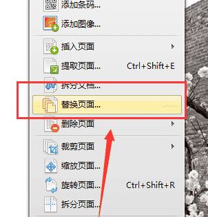 怎么刪除pdf中不要的頁面?教你pdf刪除頁面(圖解)