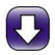 Freerapid下載_FreeRapid Download（國外網盤下載工具）v0.93綠色中文版