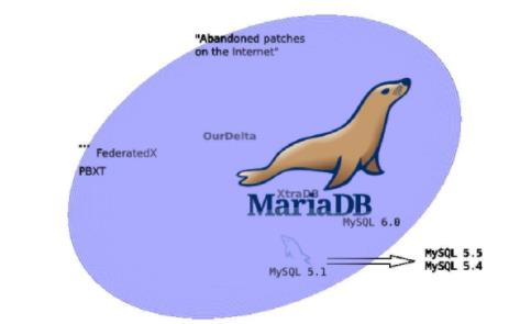 Win10如何安裝mariaDB數(shù)據(jù)庫軟件？mariaDB下載+安裝+配置教程