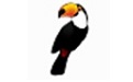 Toucan綠色版_Toucan（數據同步軟件）v3.04加強版