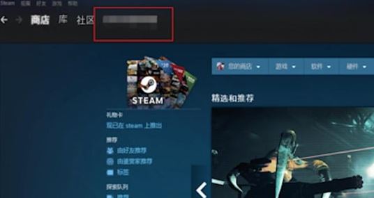 Steam個人鏈接是什么?教你獲取Steam個人鏈接的方法