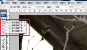ps局部放大怎么調?PS放大局部位置的操作方法(含快捷鍵)
