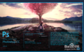Adobe Application Manager下載_Adobe Application Manager 10.0 免費版 