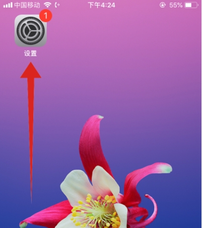蘋果iPhone11手機怎么用siri？iphone11設置按鈕打開siri