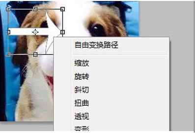 PS旋轉圖片,PS怎么旋轉圖片、圖層？