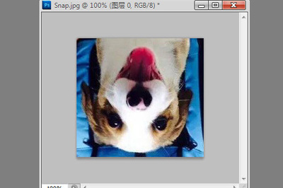 180度的旋轉