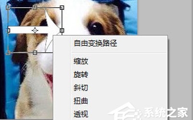 ps怎么旋轉圖片？Photoshop旋轉圖片教程