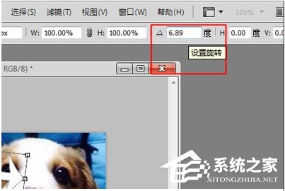 ps怎么旋轉圖片？Photoshop旋轉圖片教程