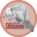 dbeaver下載_DBeaver數據庫軟件中文版