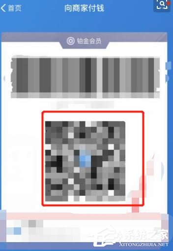 支付寶社保碼有什么用？社保碼不帶社?？ㄒ材苋ニ幍曩I藥