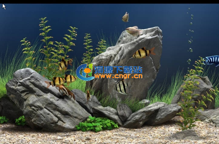 夢幻水族館破解版|夢幻水族館動態屏保 1.240增強漢化安裝版