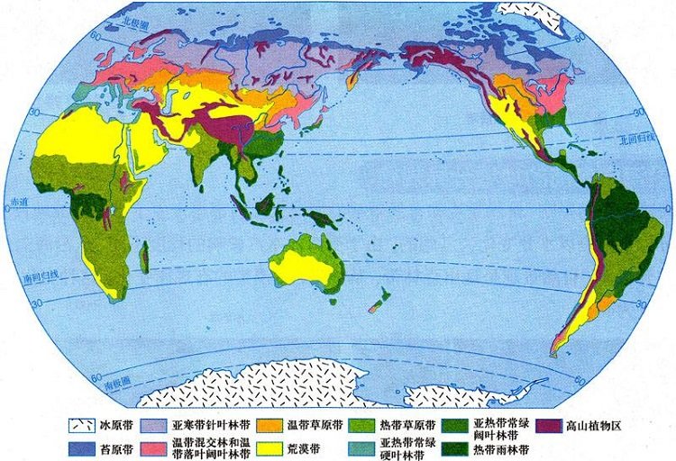 世界氣候類型分布圖簡圖