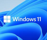 Win11系統安裝工具