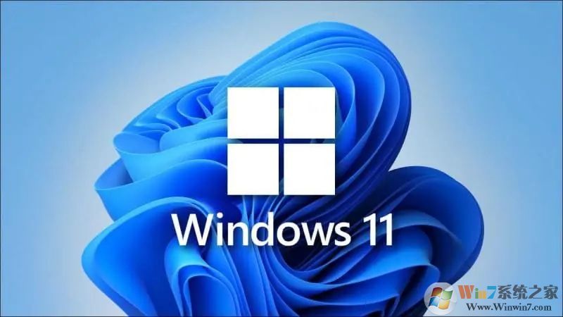 Win11家庭版和專業版有什么區別?Win11家庭版和專業版哪個好用?