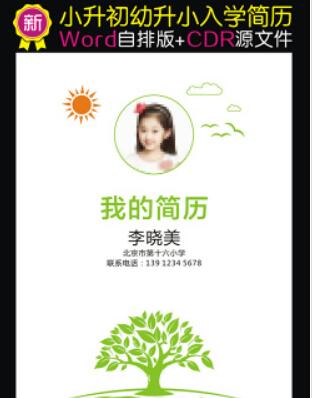 3款精美的小學生上人簡歷模板(Word版)