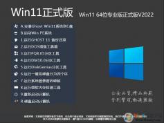 Win11專業正式版下載|Win11 64位專業版(自動永久激活)V2024