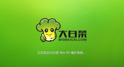大白菜系統下載_大白菜Win7系統_大白菜Win10系統下載官方版