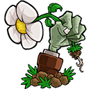 植物大戰僵尸e版支線手機版