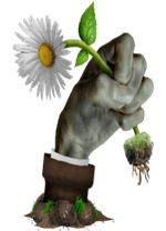 植物大戰僵尸冰火版電腦版