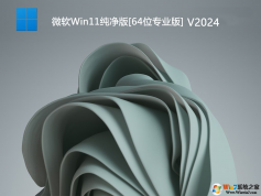 Win11專業純凈版下載|Win11純凈版64位專業版(永久激活)V2024
