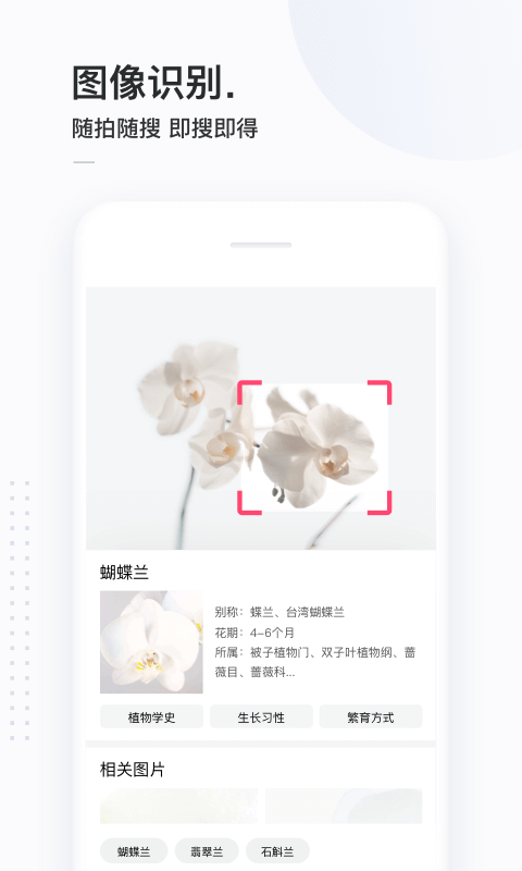 簡單搜索標準版