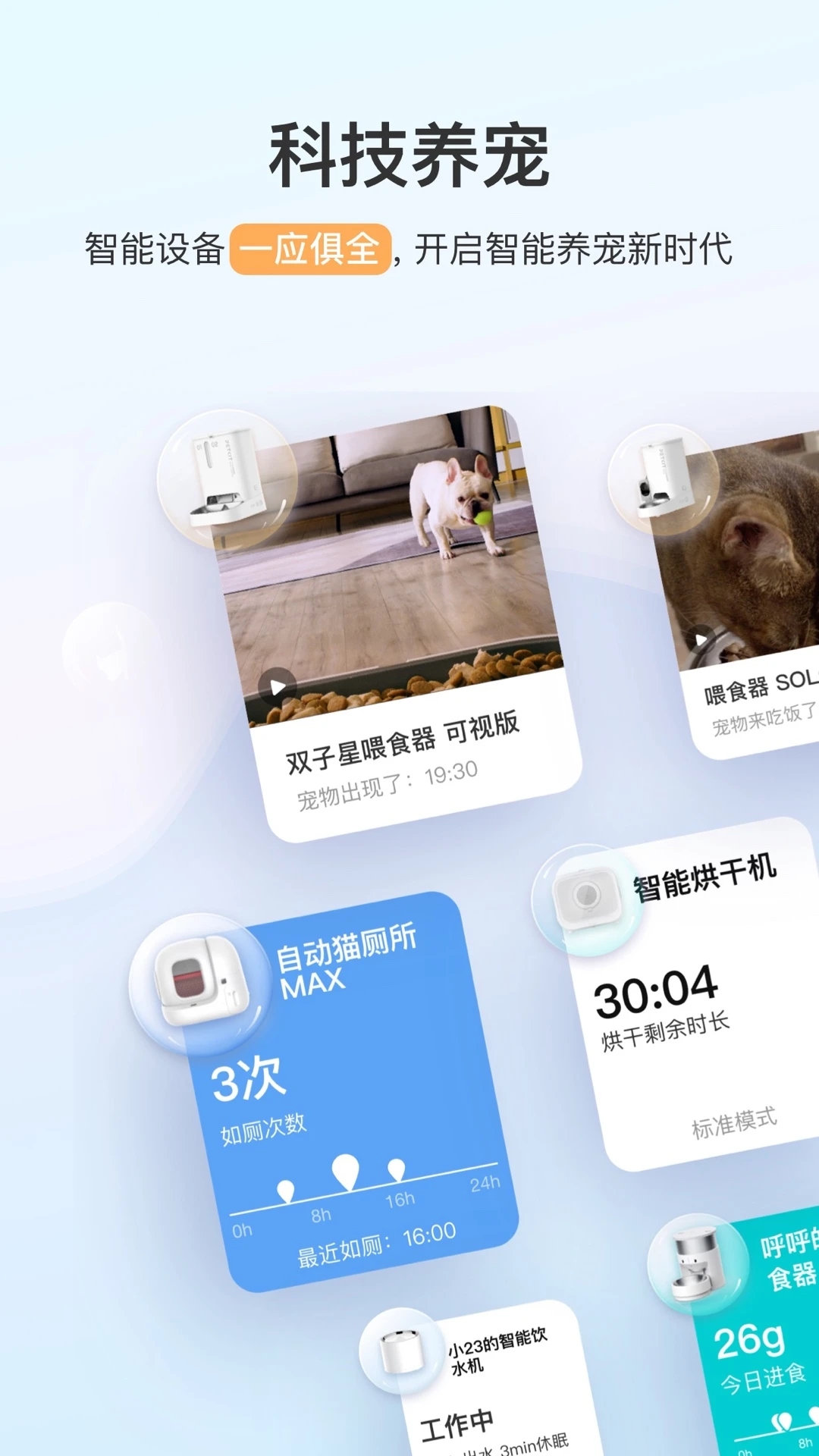 小佩寵物官網手機版