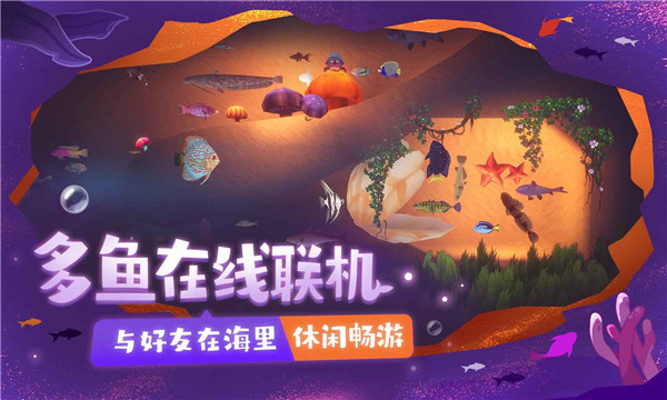 一只魚聯機
