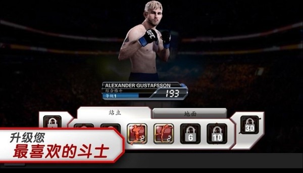 格斗藝術3
