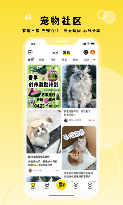 寵胖胖標準版