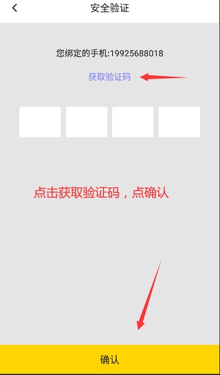 雷電云手機桌面版