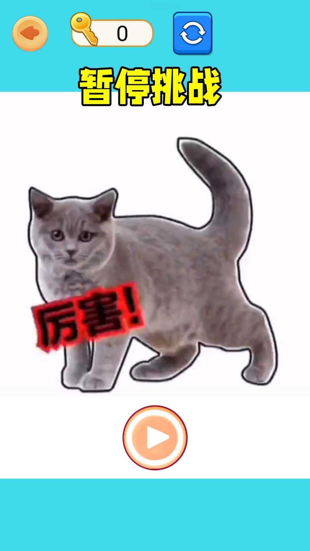 極限暫停挑戰2024