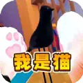 貓咪風云2024
