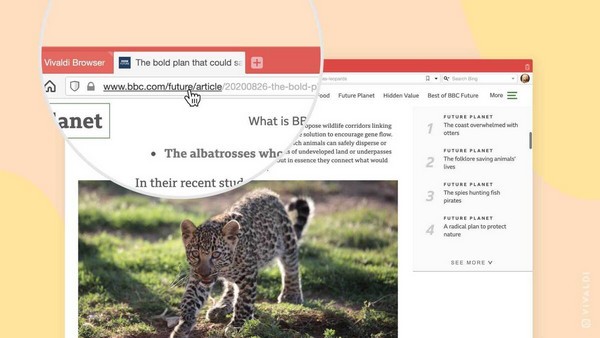 Vivaldi瀏覽器標準版