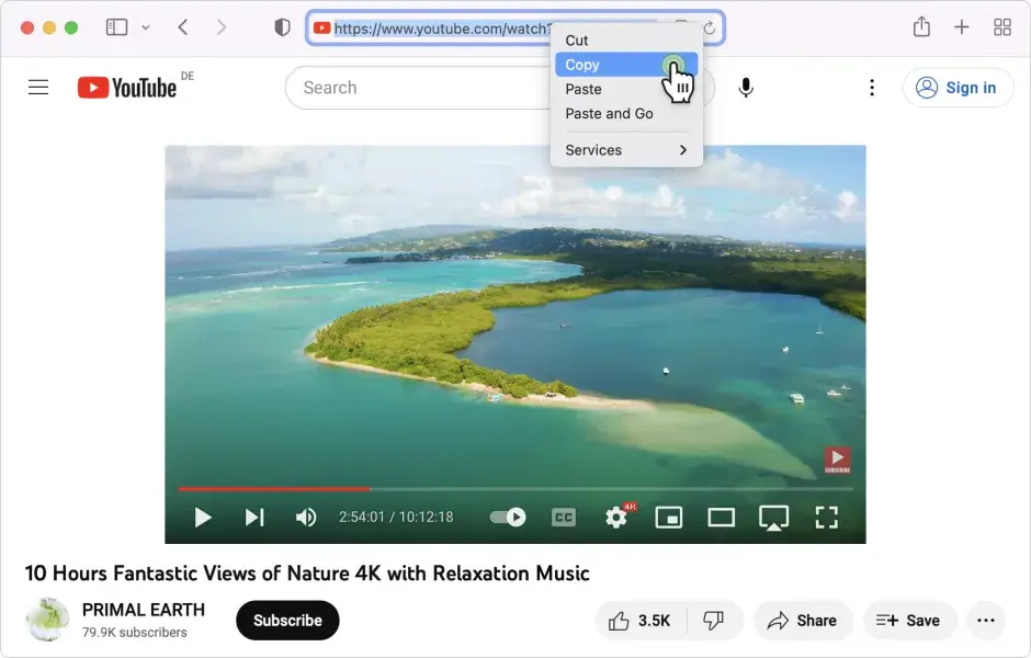 4K Video Downloader(視頻下載器)