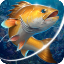 釣魚(yú)胡克游戲