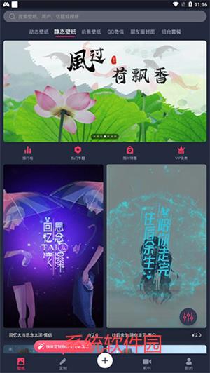 羞兔動(dòng)態(tài)壁紙