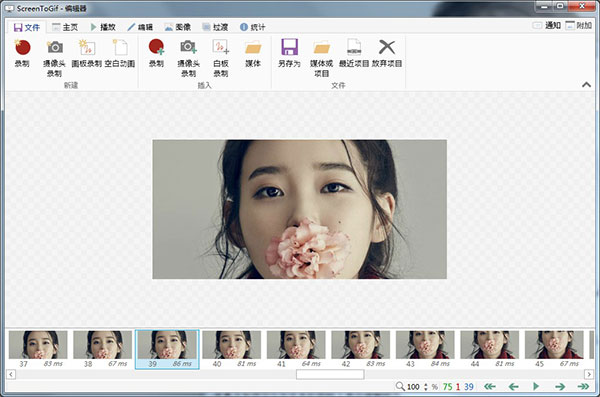 Screen To Gif(GIF動畫錄制工具)