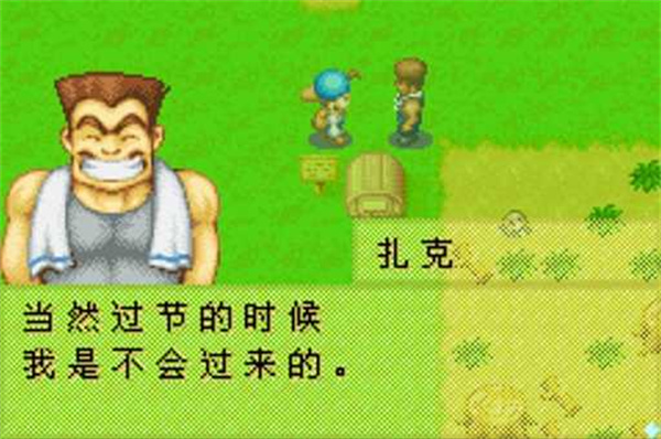 牧場物語礦石鎮的伙伴們手游
