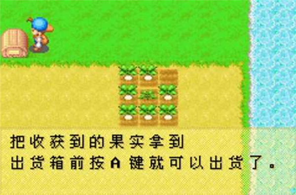 牧場物語礦石鎮的伙伴們手游