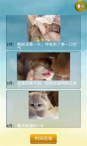 貓的一生重啟模擬器免費版