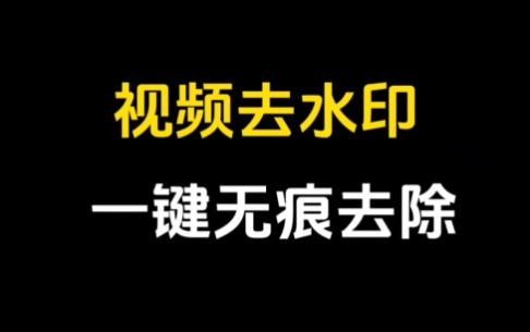 無痕去水印軟件各種版本集合-無痕去水印軟件版本大全-無痕去水印軟件下載
