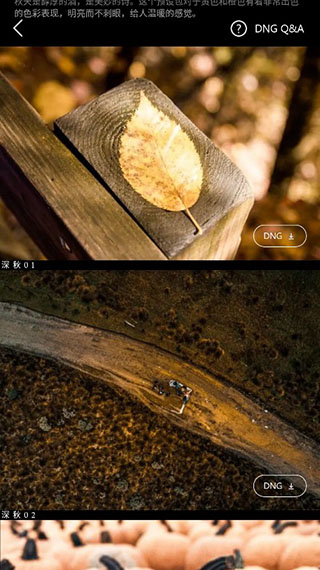 Lr濾鏡大師