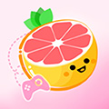 柚子樂園游戲盒