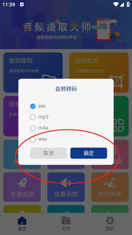 音頻提取大師