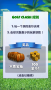 決戰高爾夫國際版