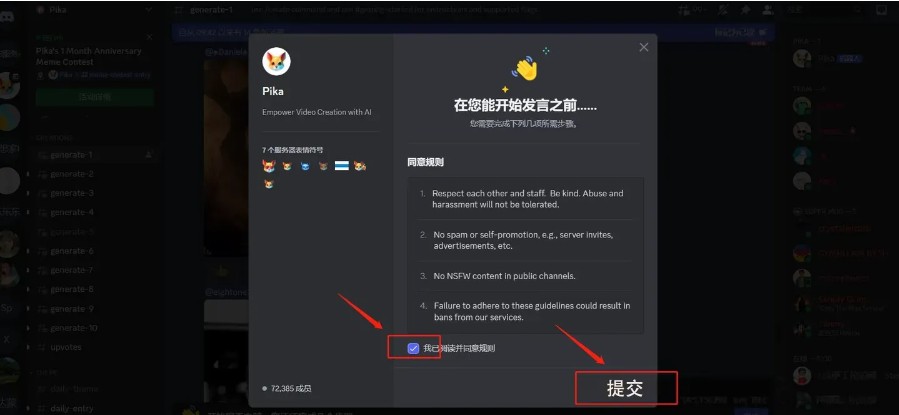 Pika Labs最新版